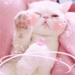 Avatar de Nadia Carrillo