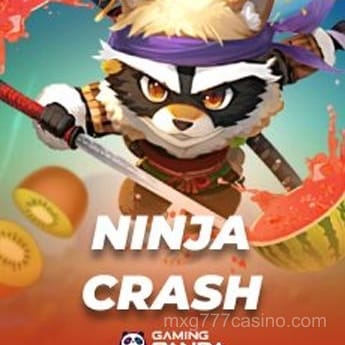 Imagen de Ninja Crash